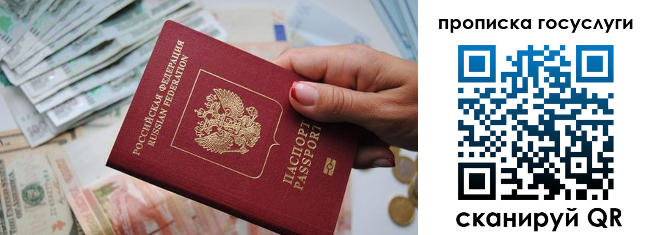 прописка поиск в Каргате